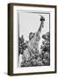 Black Manhattan Collection - Freedom-Philippe Hugonnard-Framed Photographic Print