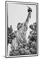 Black Manhattan Collection - Freedom-Philippe Hugonnard-Mounted Photographic Print