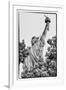 Black Manhattan Collection - Freedom-Philippe Hugonnard-Framed Photographic Print