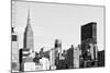 Black Manhattan Collection - New Yorker-Philippe Hugonnard-Mounted Photographic Print