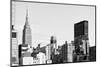 Black Manhattan Collection - New Yorker-Philippe Hugonnard-Mounted Photographic Print