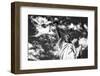 Black Manhattan Collection - The Statue of Liberty-Philippe Hugonnard-Framed Photographic Print