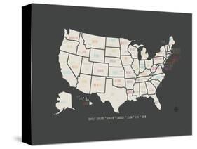 Black Map USA-Kindred Sol Collective-Stretched Canvas