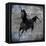 Black Mare 1-LightBoxJournal-Framed Stretched Canvas