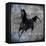 Black Mare 1-LightBoxJournal-Framed Stretched Canvas