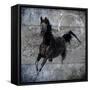 Black Mare 1-LightBoxJournal-Framed Stretched Canvas