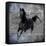 Black Mare 1-LightBoxJournal-Framed Stretched Canvas