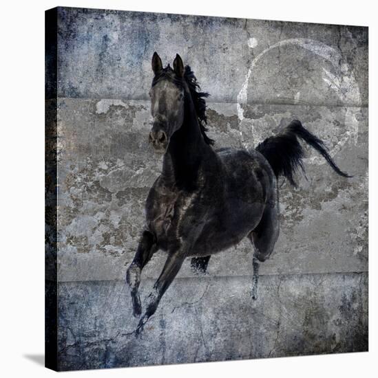 Black Mare 1-LightBoxJournal-Stretched Canvas