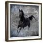 Black Mare 1-LightBoxJournal-Framed Giclee Print