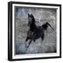 Black Mare 1-LightBoxJournal-Framed Giclee Print