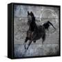 Black Mare 1-LightBoxJournal-Framed Stretched Canvas