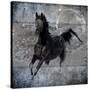 Black Mare 1-LightBoxJournal-Stretched Canvas