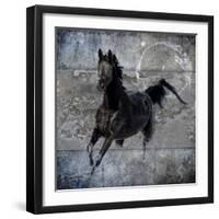 Black Mare 1-LightBoxJournal-Framed Giclee Print