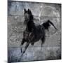 Black Mare 1-LightBoxJournal-Mounted Giclee Print