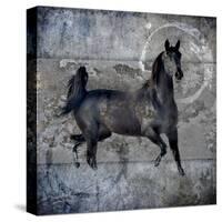 Black Mare 2-LightBoxJournal-Stretched Canvas