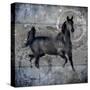Black Mare 2-LightBoxJournal-Stretched Canvas