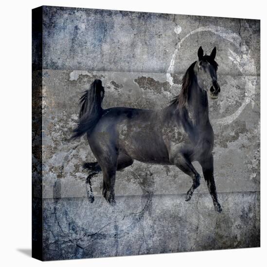 Black Mare 2-LightBoxJournal-Stretched Canvas
