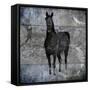 Black Mare 3-LightBoxJournal-Framed Stretched Canvas