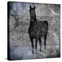 Black Mare 3-LightBoxJournal-Stretched Canvas