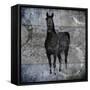 Black Mare 3-LightBoxJournal-Framed Stretched Canvas