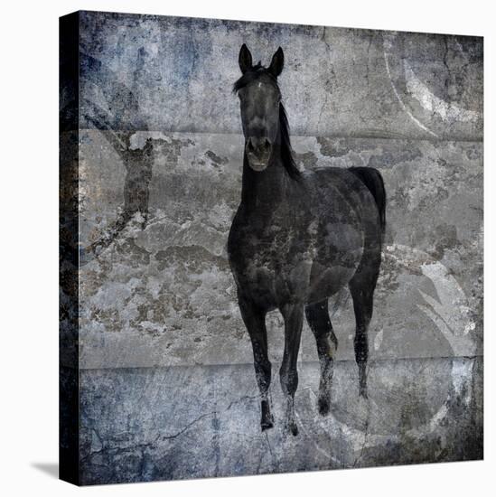 Black Mare 3-LightBoxJournal-Stretched Canvas