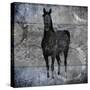 Black Mare 3-LightBoxJournal-Stretched Canvas