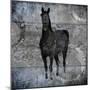 Black Mare 3-LightBoxJournal-Mounted Giclee Print