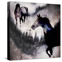 Black Mare - Dream 1-LightBoxJournal-Stretched Canvas