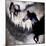 Black Mare - Dream 1-LightBoxJournal-Mounted Giclee Print