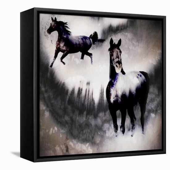 Black Mare - Dream 2-LightBoxJournal-Framed Stretched Canvas