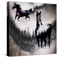 Black Mare - Dream 2-LightBoxJournal-Stretched Canvas