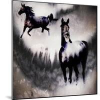 Black Mare - Dream 2-LightBoxJournal-Mounted Giclee Print