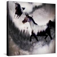 Black Mare - Dream 3-LightBoxJournal-Stretched Canvas