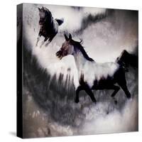 Black Mare - Dream 3-LightBoxJournal-Stretched Canvas