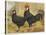 Black Minorca Cock and Hen-null-Stretched Canvas