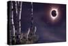 Black Moon (Eclipse 2017)-Gordon Semmens-Stretched Canvas