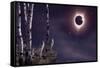 Black Moon (Eclipse 2017)-Gordon Semmens-Framed Stretched Canvas