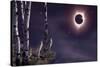 Black Moon (Eclipse 2017)-Gordon Semmens-Stretched Canvas