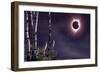 Black Moon (Eclipse 2017)-Gordon Semmens-Framed Giclee Print