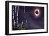 Black Moon (Eclipse 2017)-Gordon Semmens-Framed Giclee Print