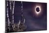 Black Moon (Eclipse 2017)-Gordon Semmens-Mounted Giclee Print