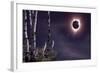 Black Moon (Eclipse 2017)-Gordon Semmens-Framed Giclee Print