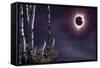 Black Moon (Eclipse 2017)-Gordon Semmens-Framed Stretched Canvas