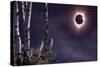 Black Moon (Eclipse 2017)-Gordon Semmens-Stretched Canvas