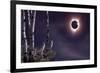 Black Moon (Eclipse 2017)-Gordon Semmens-Framed Giclee Print