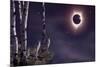 Black Moon (Eclipse 2017)-Gordon Semmens-Mounted Giclee Print