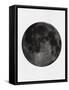 Black Moon-Eline Isaksen-Framed Stretched Canvas