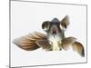 Black Moor Goldfish (Carassius Auratus)-Don Farrall-Mounted Photographic Print