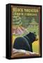 Black Mountain, North Carolina - Black Bear in Forest-Lantern Press-Framed Stretched Canvas