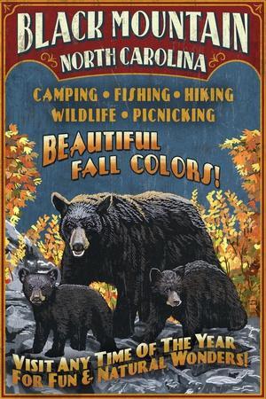 https://imgc.allpostersimages.com/img/posters/black-mountain-north-carolina-black-bears-vintage-sign_u-L-Q1I35XI0.jpg?artPerspective=n